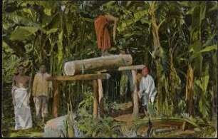 Arbeiter der Missionsstation Mamba beim Brettersägen. Deutsch-Ost-Afrika [Serie Afrika I ; 12]
