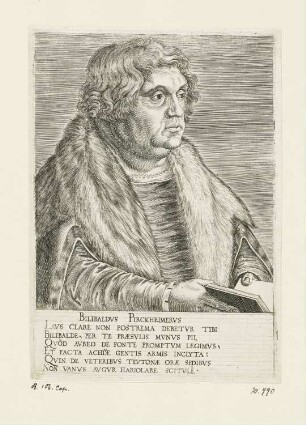 Bildnis Willibald Pirckheimer