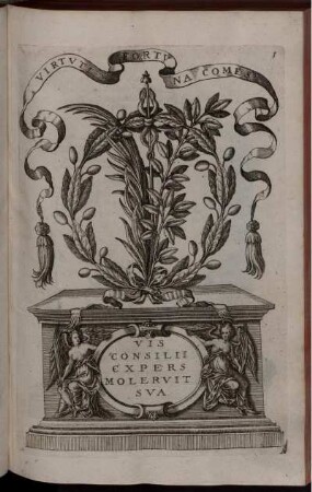 [Abbildungen der Monumente mit den Inschriften]