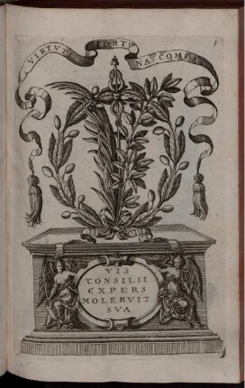 [Abbildungen der Monumente mit den Inschriften]