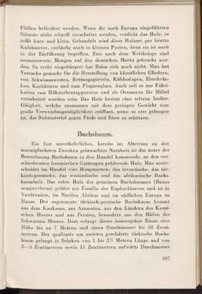 Buchsbaum.