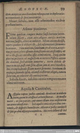 Aquila & Cuniculus