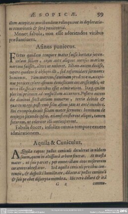 Aquila & Cuniculus