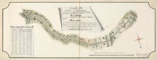 Geometrischer Plan dererjenigen Landtes- und Bann-Grenzen, welche sich zwischen dem Kaiserlich Königlich Erzherzoglich Vorderoestereichischen Flecken Rothweil als eines, sodann dem Hochfürstlich MarkGraeflich Baadischen Flecken Bickensohl als anderer Seits befinden ...