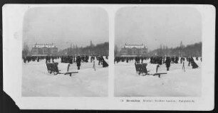 Dresden. Königlicher Großer Garten. Palaisteich : Dresden. Königlicher Großer Garten. Palaisteich. Fotografie (vor 1910; wohl A. Kotzsch)