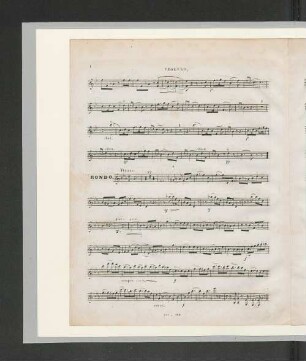 Violino. Rondo.