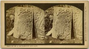 Steinrelief, das einen Adler darstellt, der ein (vermutl. menschliches) Herz in seiner Kralle hält.