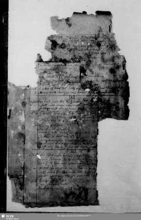 Bossen vnd auch gute Schwenck - Mscr.Dresd.M.5
