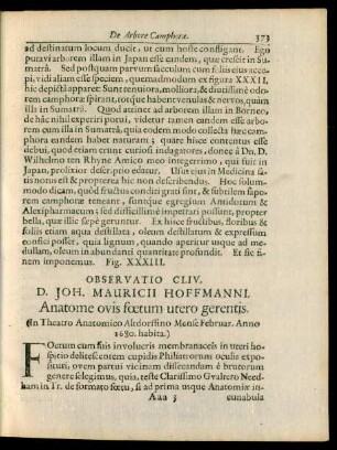 D. Joh. Mauricii Hoffmanni