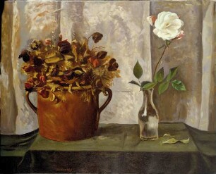 Weiße Rose und brauner Topf