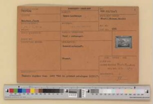 Inventar des Central Collecting Points in Wiesbaden: WIE 211 - 1020
