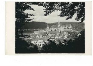 Schloss Sigmaringen (Ansicht vom Josefsberg)