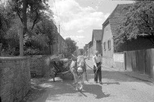 Landwirtschaft in Wolfartsweier
