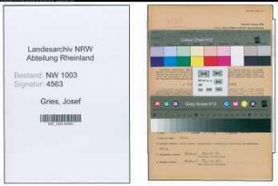 Entnazifizierung Josef Gries , geb. 13.03.1911 (Krankenpfleger)