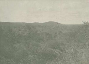 Quarzit-Sandstein-Berge nördlich Usongo. Blick auf meinen Lagerplatz von N.W.