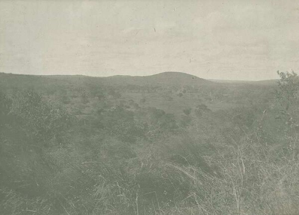 Quarzit-Sandstein-Berge nördlich Usongo. Blick auf meinen Lagerplatz von N.W.