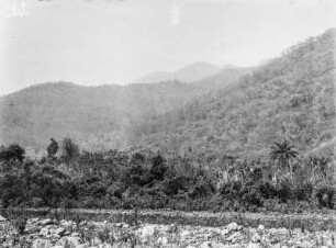 Talaue : Talaue bei San Isedro