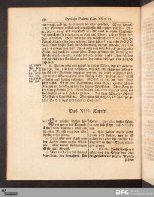 Das XIII. Capitel.