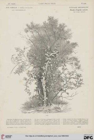 No 628 (15 Aout 1886)