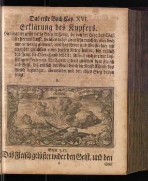 Das erste Buch Cap. XVI