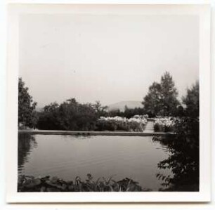 Deutsche Gartenschau 1950 auf dem Killesberg, Stuttgart: Wasserbecken