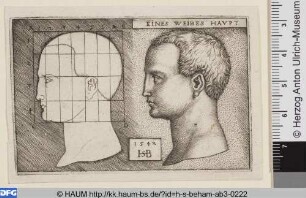 Kopf einer Frau im Profil nach links mit Proportionsstudie