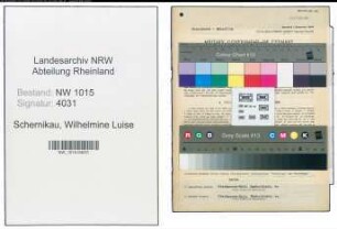 Entnazifizierung Wilhelmine Luise Schernikau , geb. 06.03.1898 (Lehrerin)