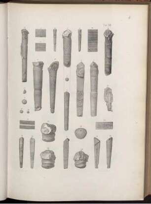 Tav. XII