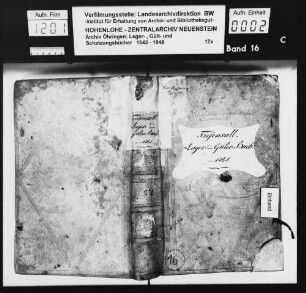 Lager- und Gültbuch über Tiefensall.