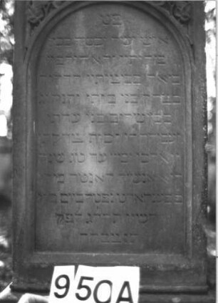 Grabstein 950 (Index: 99899469) Material: Sandstein Zustand: angewittert Maße HxBxT: 173x59x31 cm Beschreibung: Stele mit getrepptem Giebelabschluss, dachartige Aufsätze, im Giebelfeld Blattornamente (Efeu?, Akanthus), auf der Rückseite Schofar Symbolik: Schofar, Efeu?, Akanthus Besonderheit: kulturhistorisch wertvoll / hist.-wiss. Gründe (Gemeindestellung): Grabstein 950A