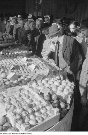 Besucher der Fachmesse bei einer Obstschau (Äpfel)