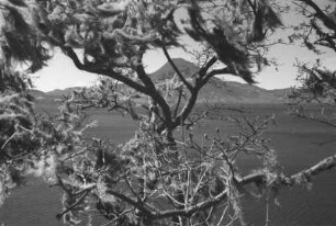 Der Atitlán-See (Lateinamerika-Aufenthalte 1934/1942 – 4. Reise von Bogota nach Mexiko-City 1937)
