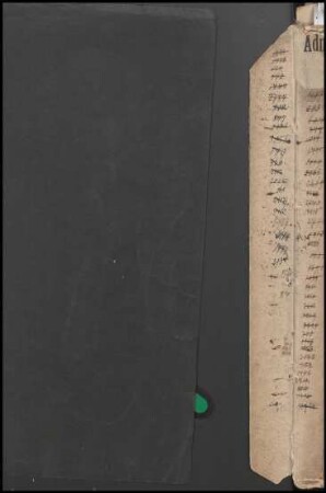 Konstituierung des Bergamts, Wirkungskreis, Ressort- und Revier-Einteilung, Bd. 1