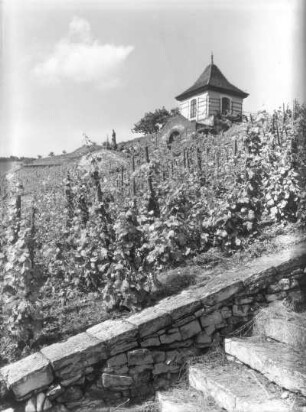 Auftrag Schulmuseum Dresden. Serie "Elbe". Groß Zernosek (Velké Žernoseky). Czernoseker Weinberghaus. Ansicht von einer Treppe