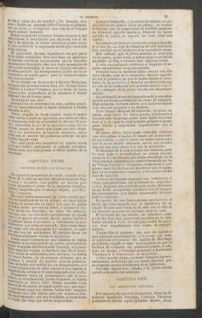 Capítulo XXIX. - Una resolución extraña.