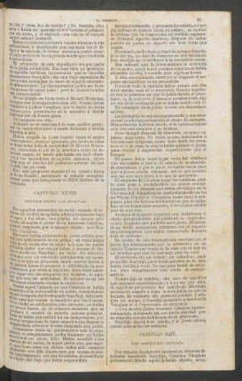 Capítulo XXIX. - Una resolución extraña.
