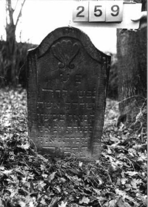 Grabstein 259 (Index: 99752185) Material: Sandstein Zustand: gut Maße HxBxT: 80x44x8 cm Beschreibung: Stele, Konvexbogenabschluß, Schriftfeld eingetieft Symbolik: Muschel: Grabstein 259