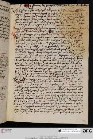 Nicolaus de Dinkelspuel, Sermones de passione domini