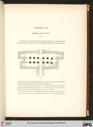 XVI: Tombeau de Toutou