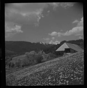 Der Zipfelhof
