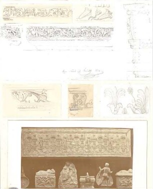 Lange, Ludwig; Lange - Archiv: I.2 Griechisch-römischer Stil - verschiedene florale Ornamente (Details, Schnitt)