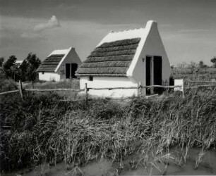 Hier hausen die Gardiens der Pferde und Stierherden, Camargue