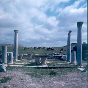 Ain Tounga (antiker Name: Thignica). Ruinen des römischen Thignica, 1977