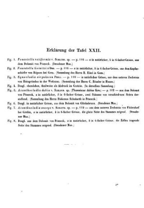 Erklärung der Taf. XXII.