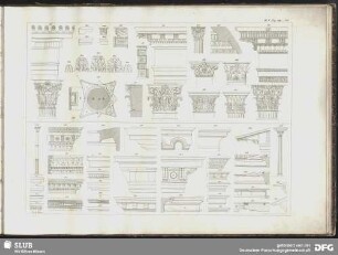 Bl. V. Fig. 189 - 246