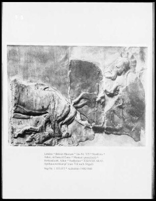 Parthenonfries — Nordfries, Platte XXI-XXIII
