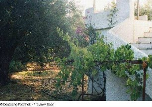 Treppenaufgang in einem Garten
