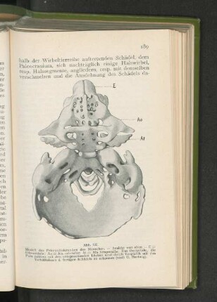 Abb. 122.
