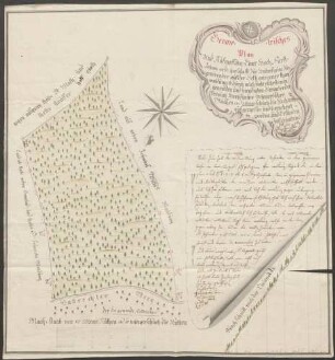 Geometrische Plan und Ausmessung einer Hoch: Fürst: Johan: ord: Herschafft zue Heitersheim zuegehörender auf der Eckh gelegener Thanwaldung ...