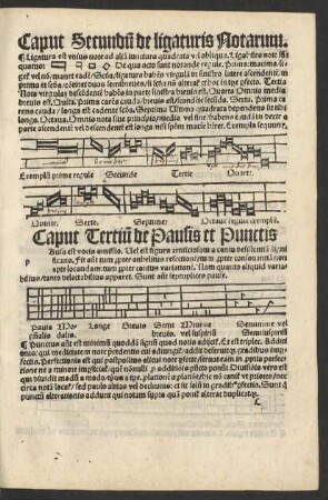 Caput Tertium de Pausis et Punctis